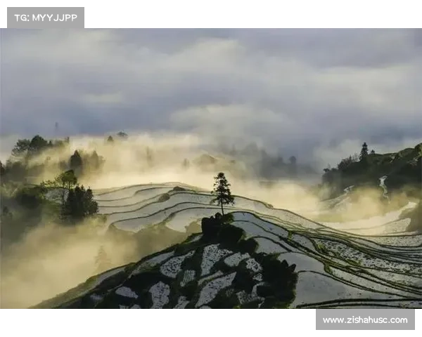 云海梯田竞逐巅峰 脚步丈量仙境画卷 云海梯田竞逐巅峰 脚步丈量仙境画卷