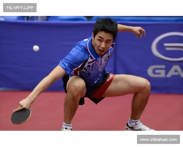 2014乒乓球世界锦标赛东京激战全球精英荣耀时刻精彩回顾