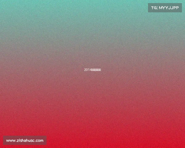 2014年太极锦标赛